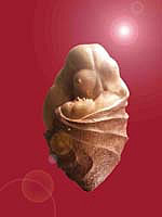 Ceramic sculpture of an emerging nude female entitled 'birth of a diva'